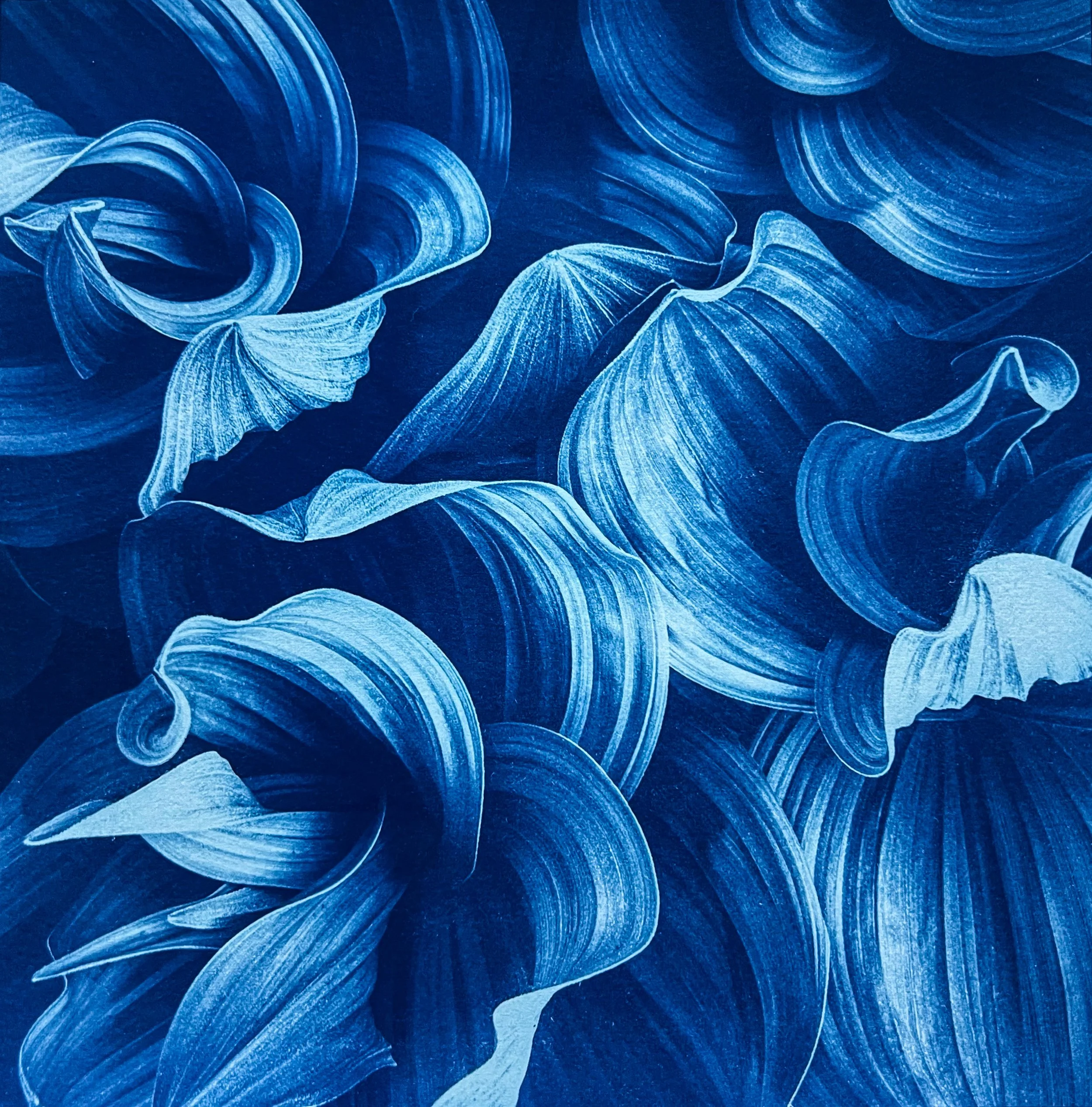 Deb Shannan Corn Lilies.jpg