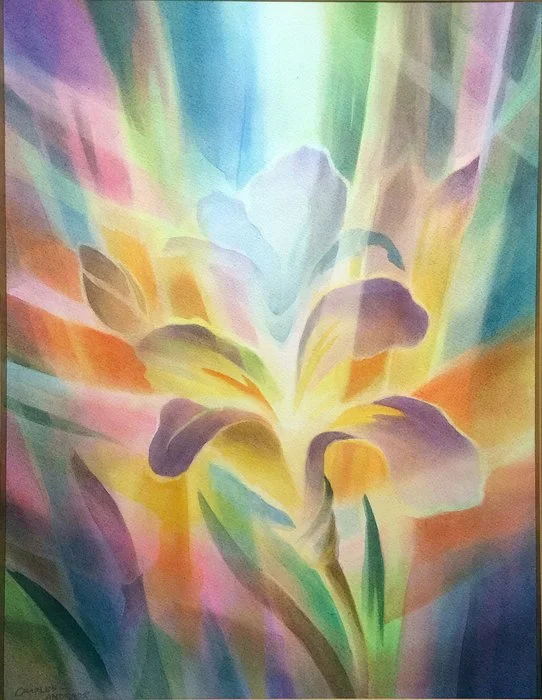 Japanese Iris.jpg