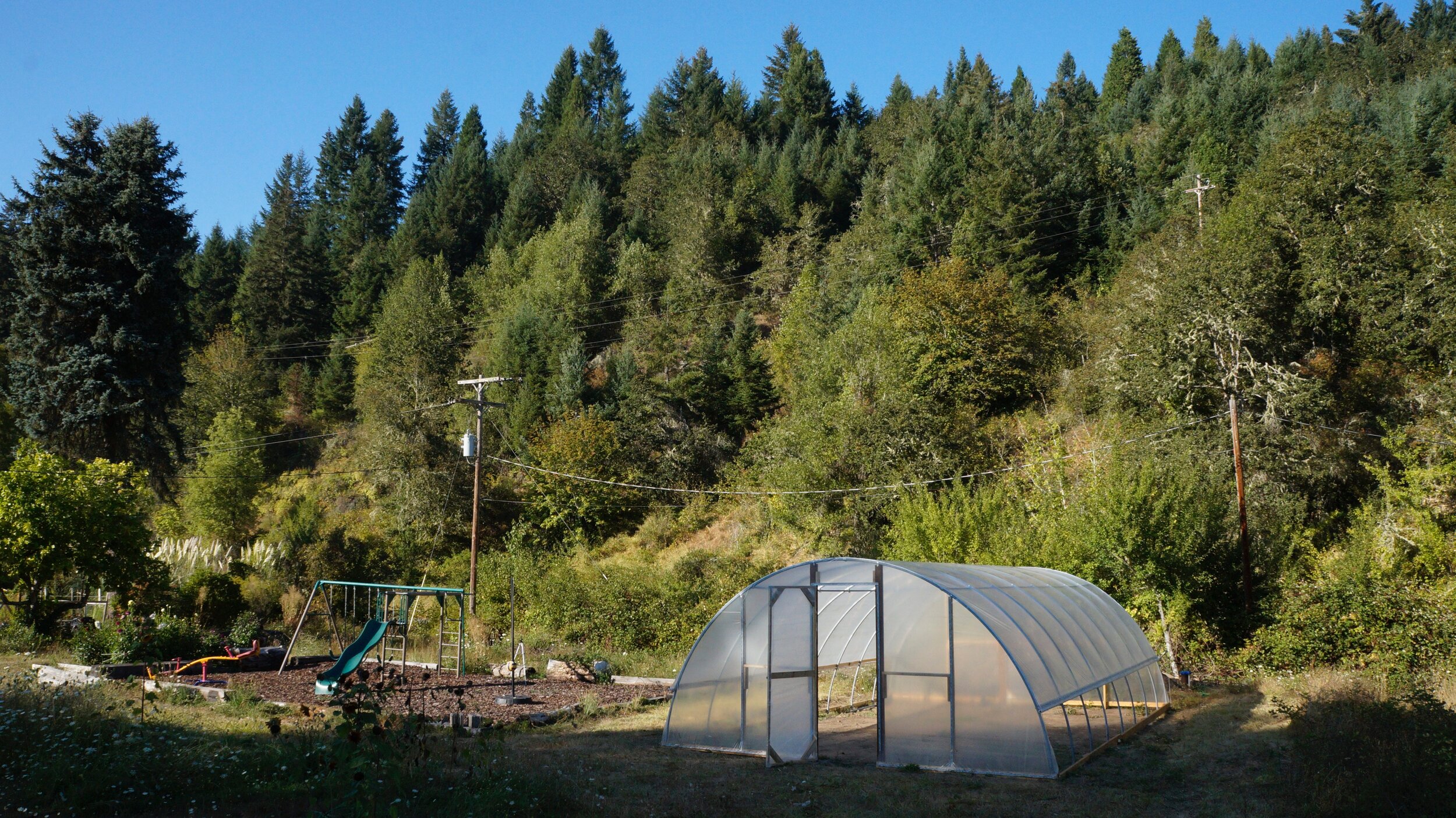Greenhouse: 20 Foot Kit  Large Greenhouse for Sale — Oregon Greenhouse