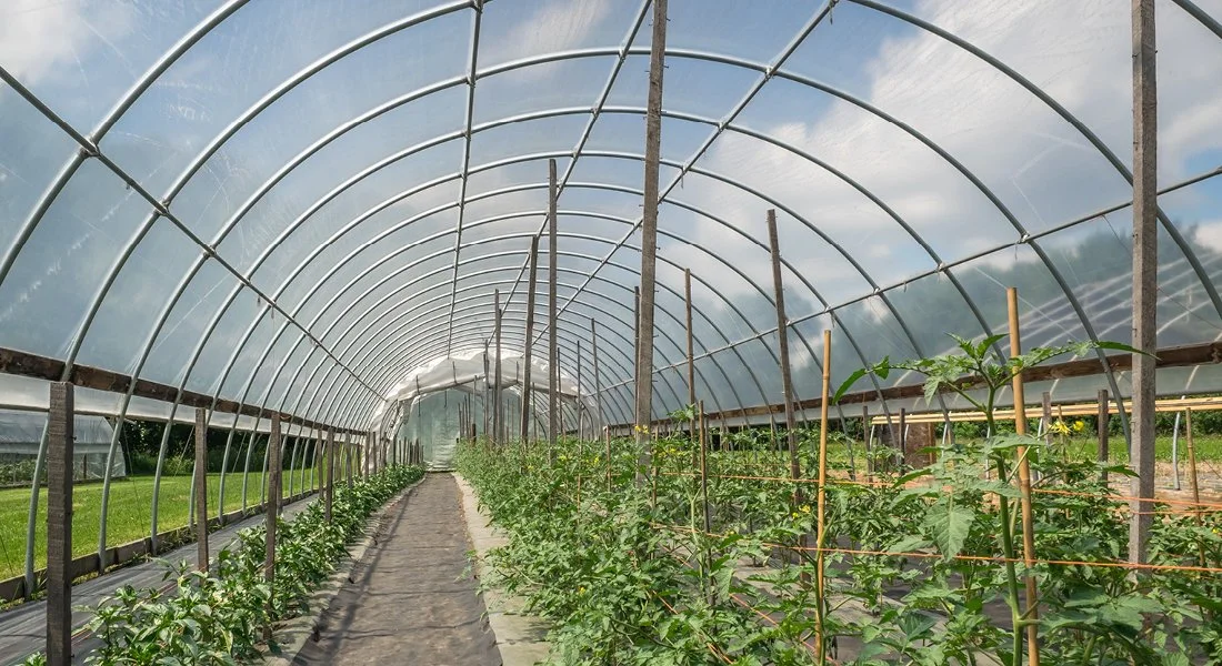 Learn All About Greenhouses — Oregon Greenhouse