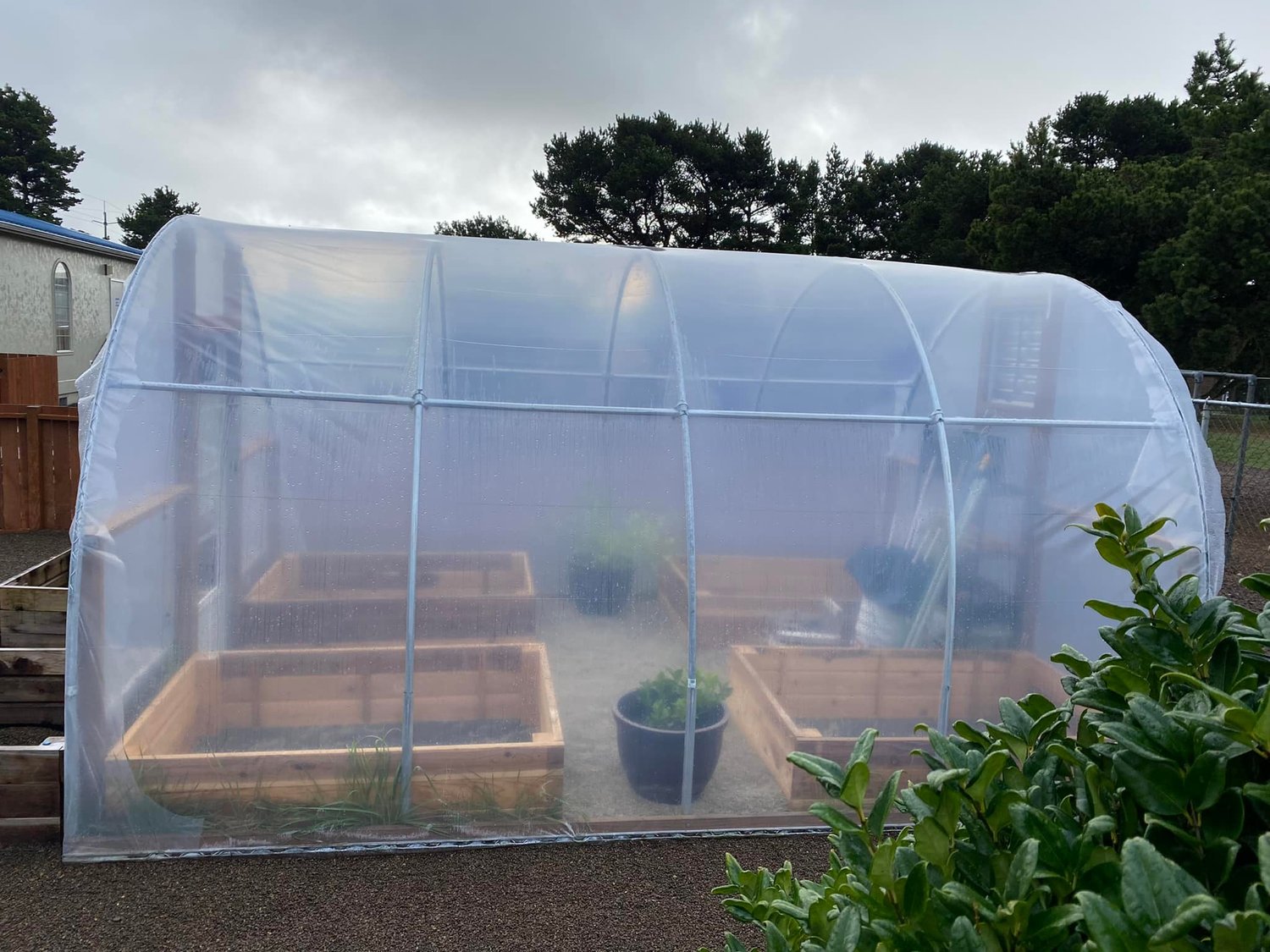 Greenhouse Kits for Sale: DIY Greenhouses - Materials ...