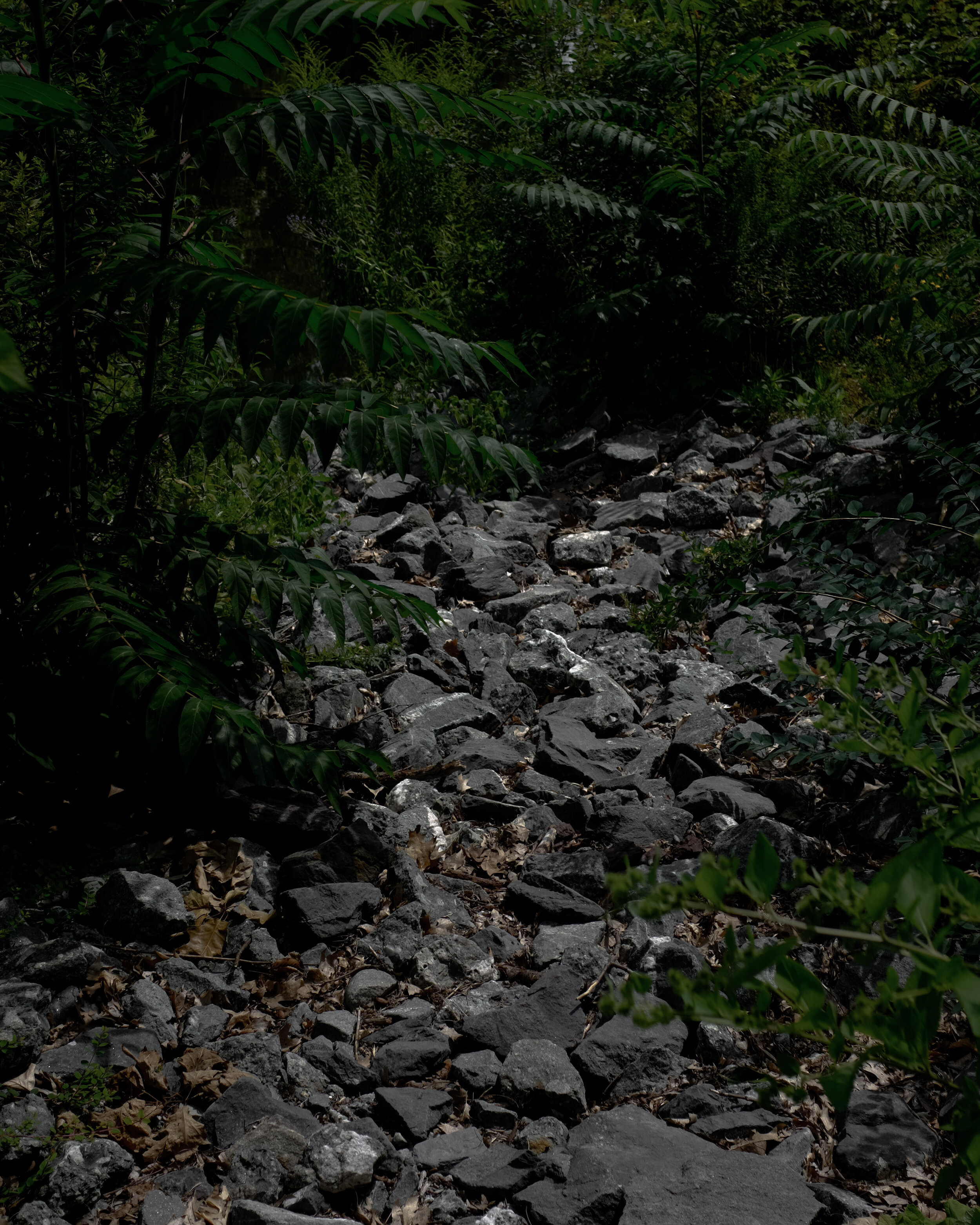 DSCF0014.jpg