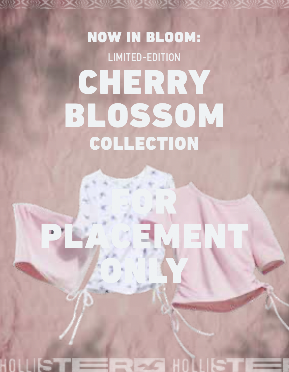 CherryBlossom2.png