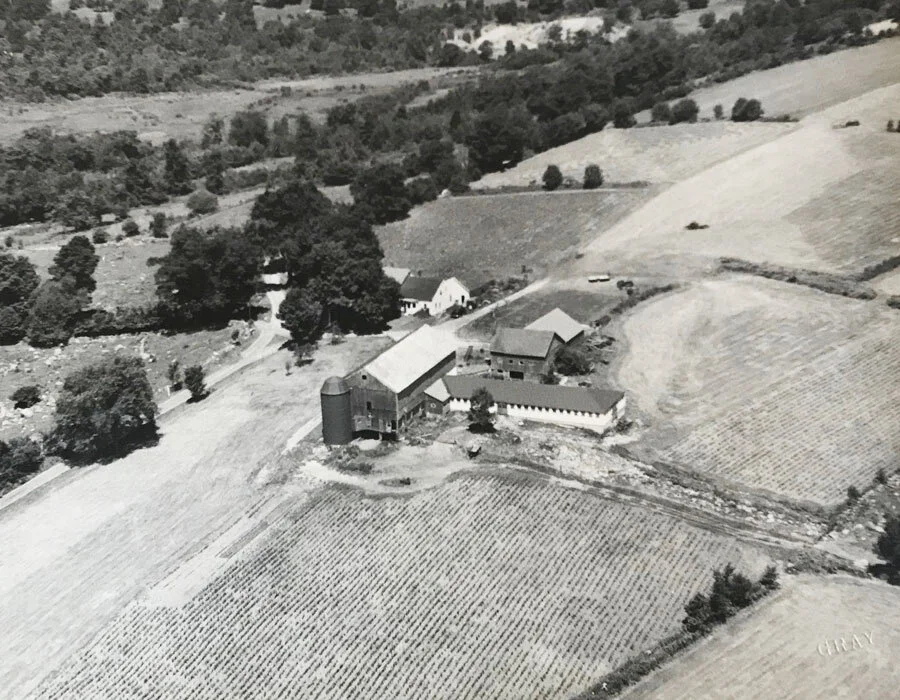 Maple Hill Farm Grass Fed Beef
