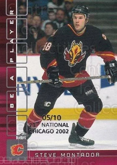 montador 1.jfif