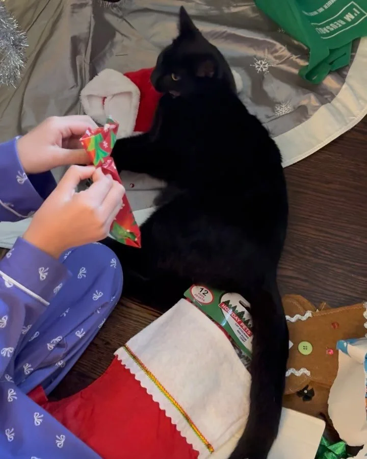 It was a merry Christmas 🎄 

Coming up for air and slowly facing reality again 😅 So grateful for the pause. 

#merrychristmas #winterbreak❄️ #strangerthingsfans #justdance #momlife #catmoments #furbaby #itsawonderfullife
