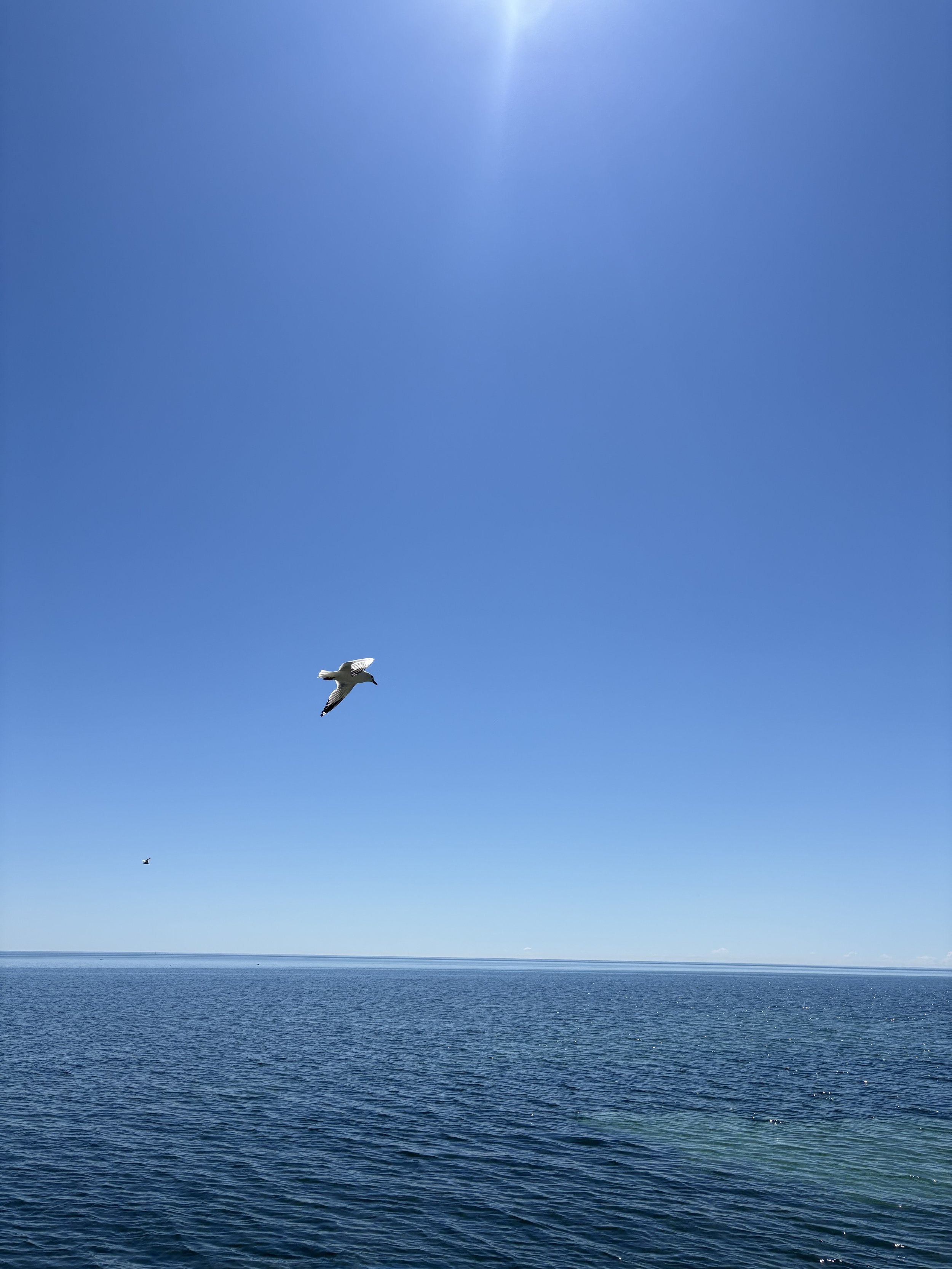 A Leap of Faith