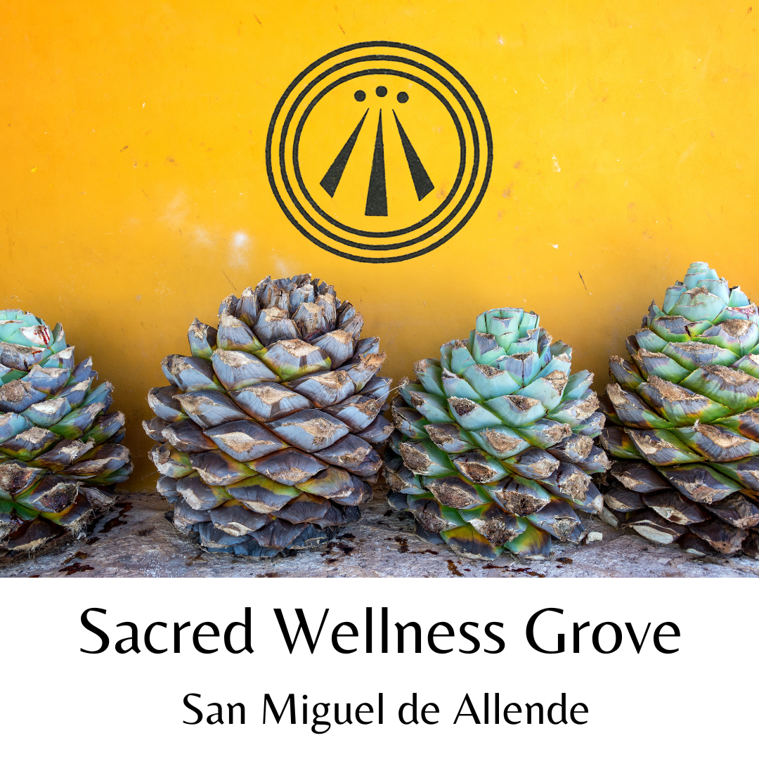 Sacred Wellness Grove San Miguel