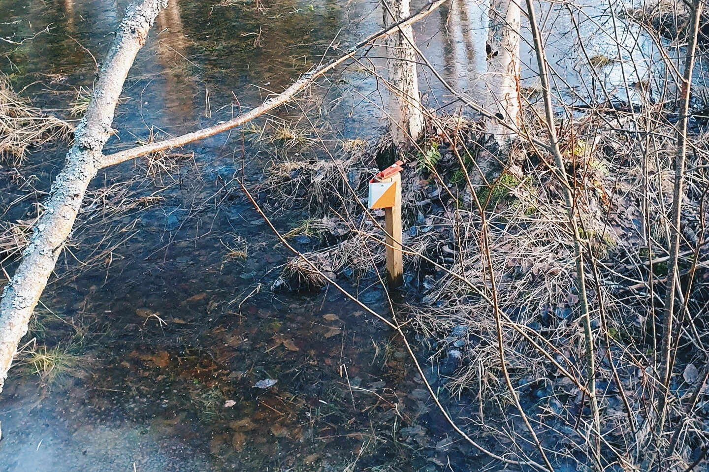 2020-05-01 03.17.55 1.jpg