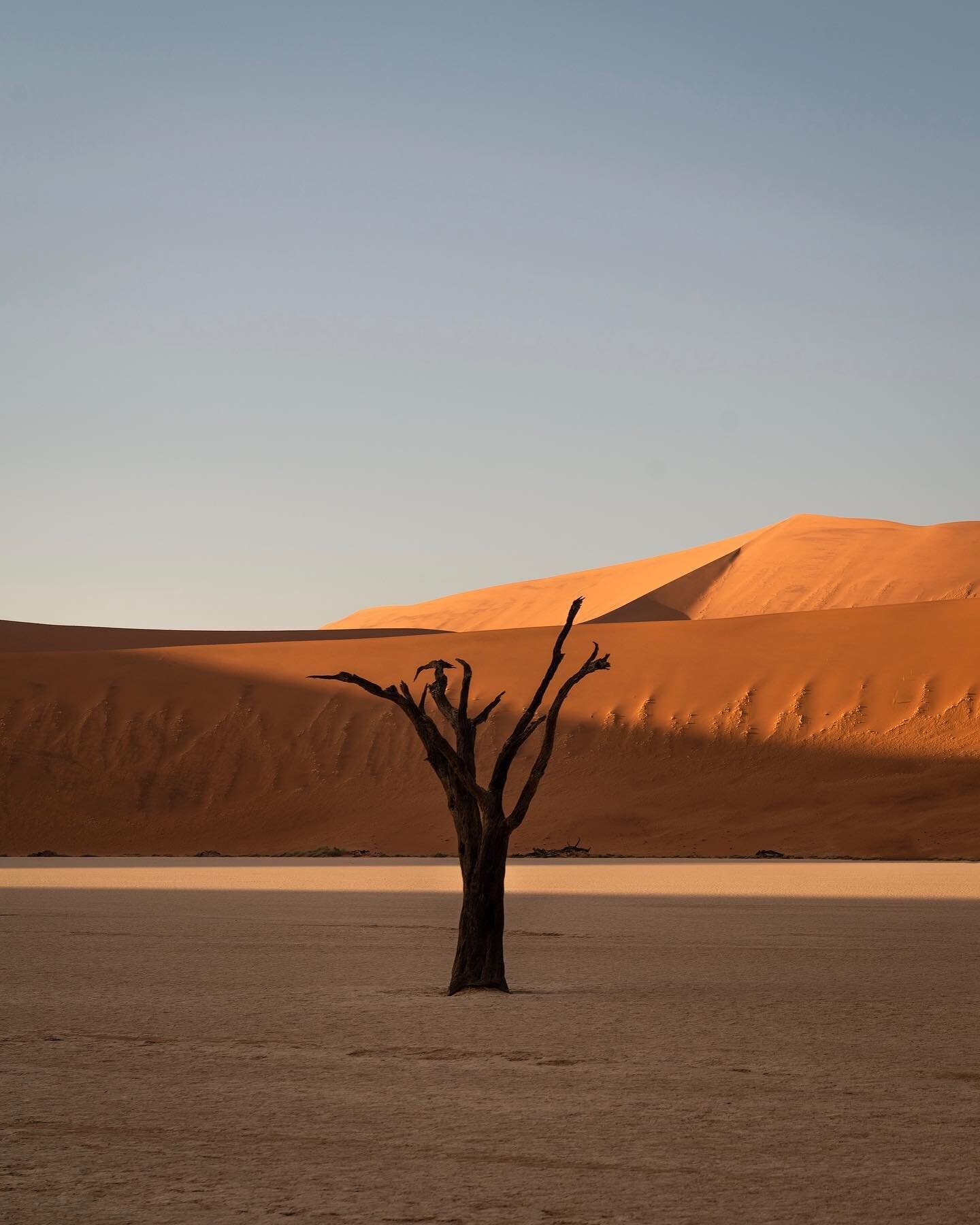 ⁣Reminiscing about all the memorable moments lived during my four weeks roaming Namibia. The morning I took this image I remember arriving at the gate of the Sossusvlei National Park long before the opening time just to be sure to have some time to e