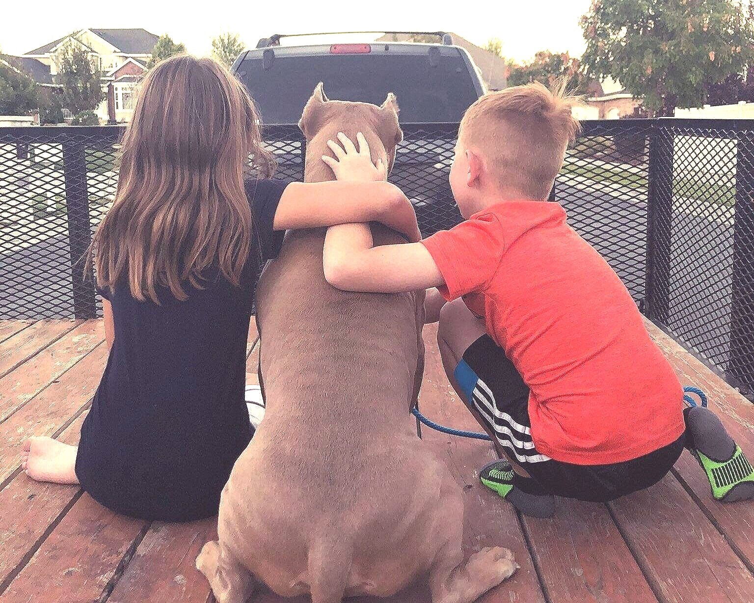 PROJECT K9 Southern Utah Dog Training and Boarding