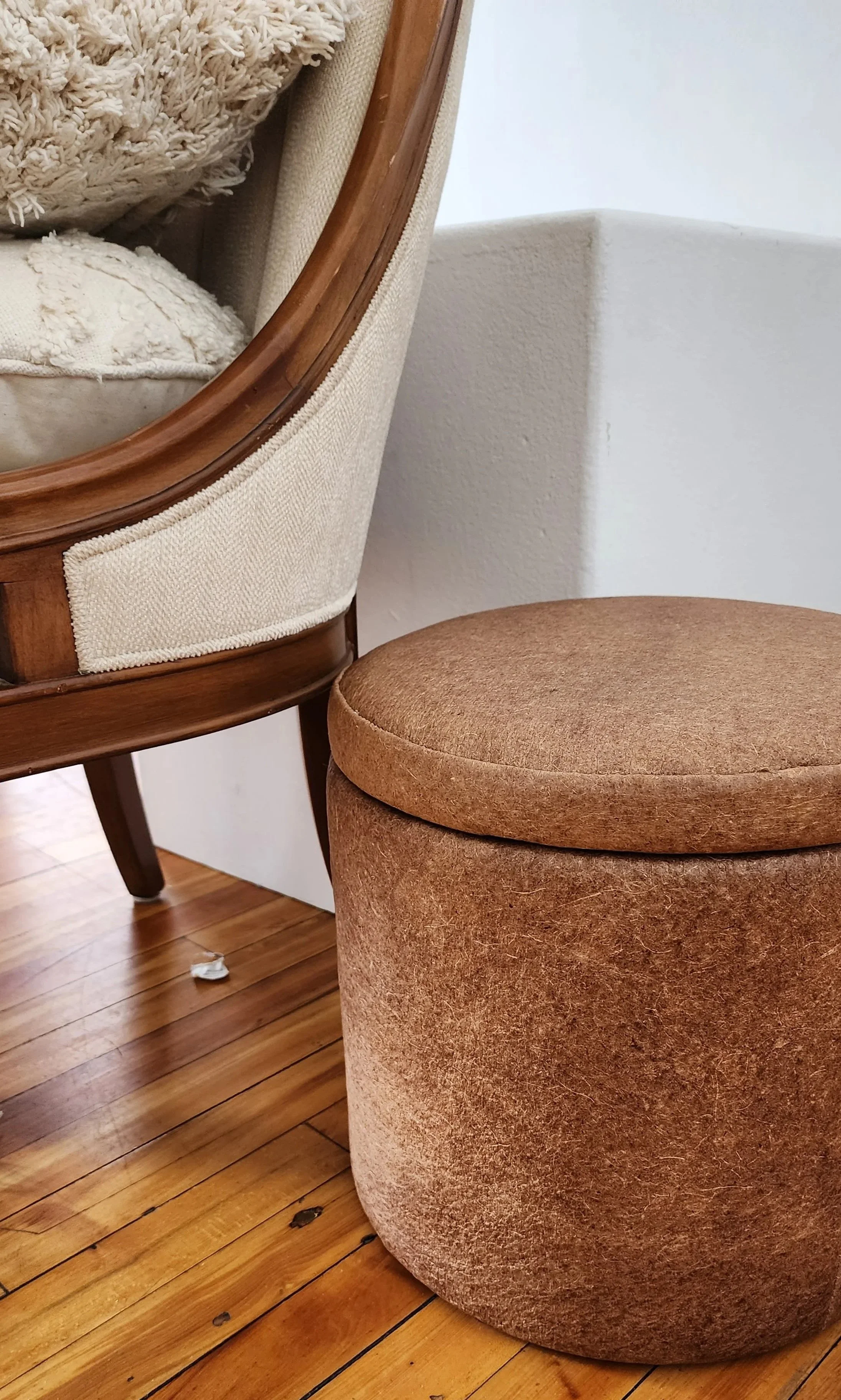 Bioleather &  Plant-based Foam & Filler
