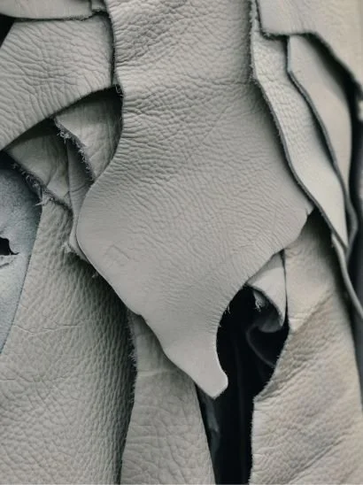 COW LEATHER VS. BIOLEATHER