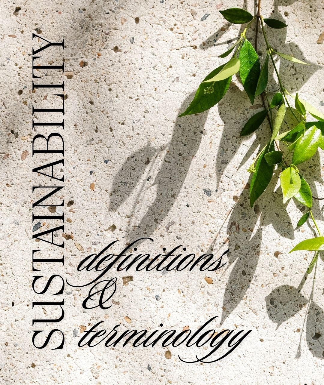 Sustainability Definitions & Terminology.jpg