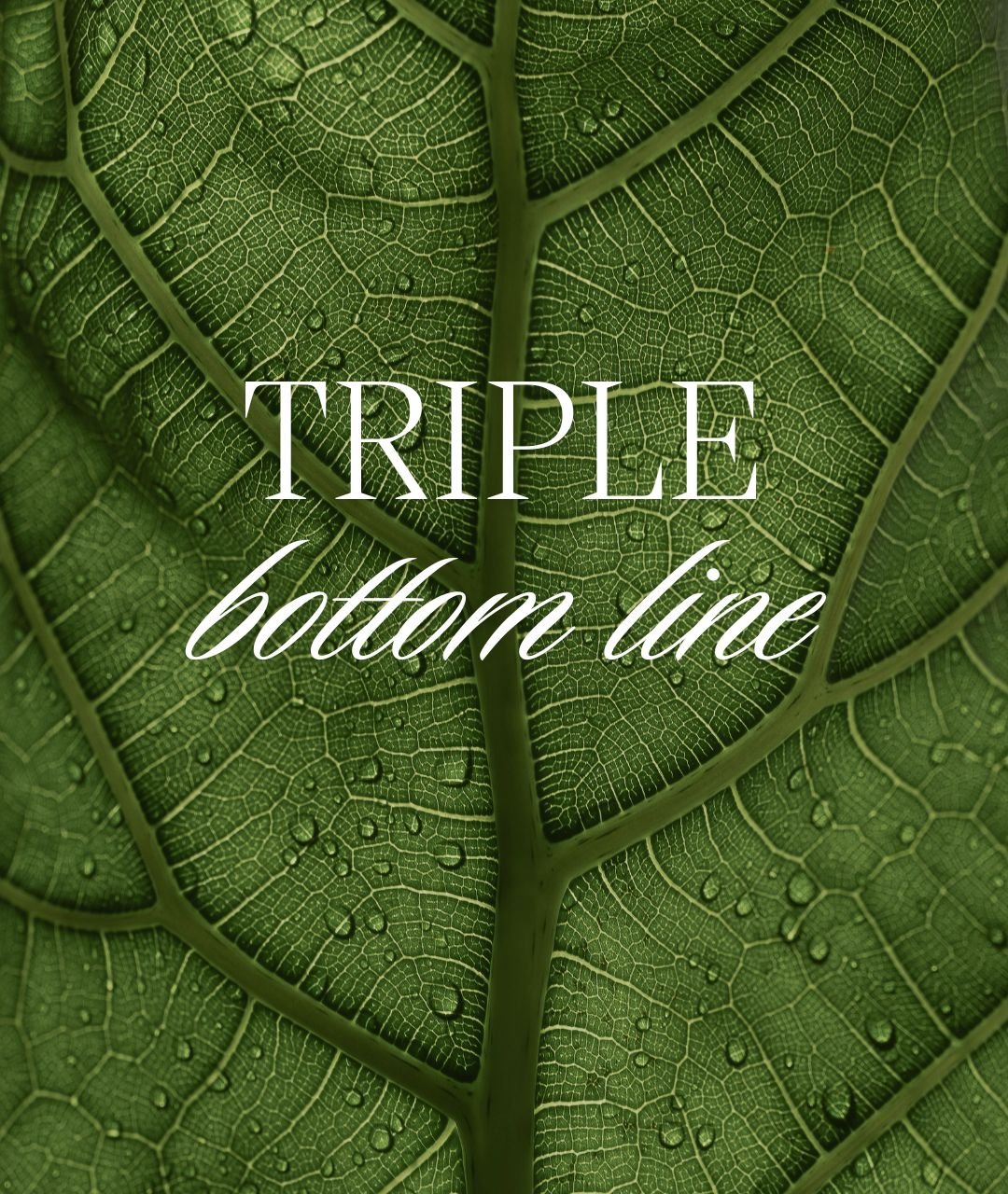 Triple bottom line.jpg
