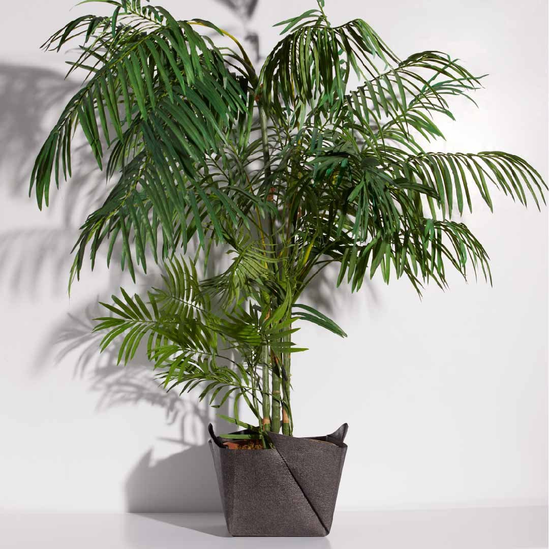 NAMIB BASKET LRG_TREE.jpg