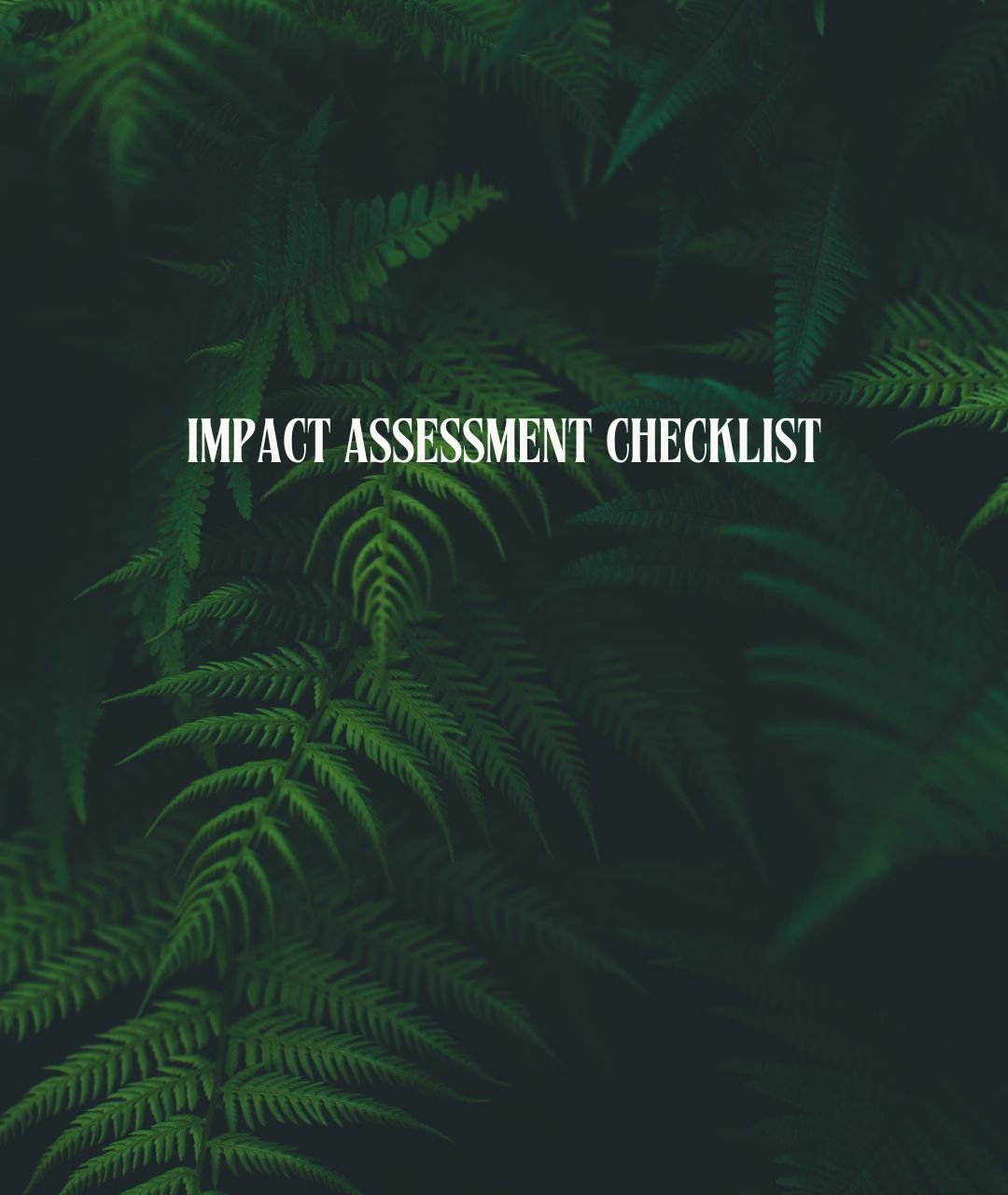 Impact Assessment Checklist.jpg