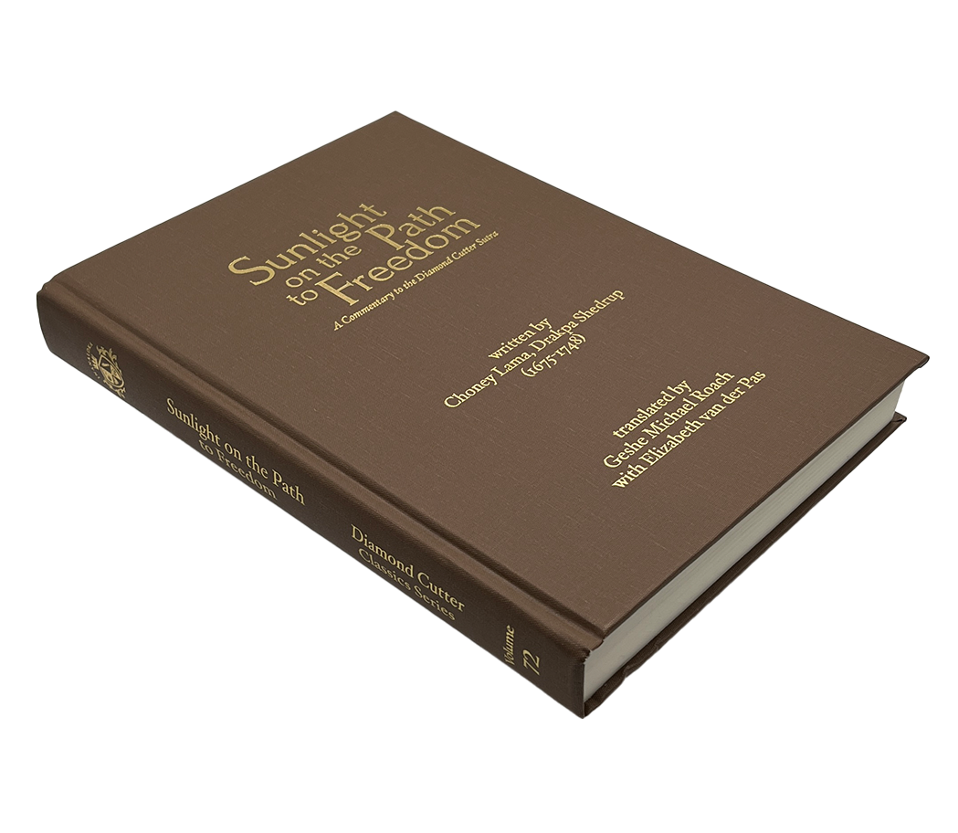SUNLIGHT SCHOLAR COVER ANGLE_.png