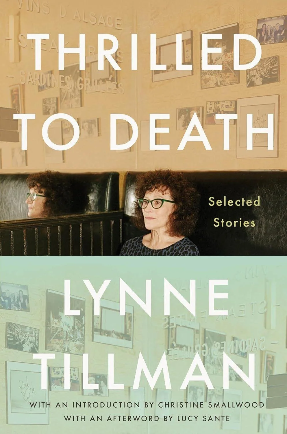 Out of Language Comes Nothing and Everything: Lynne Tillman’s Thrilled to Death for LARB