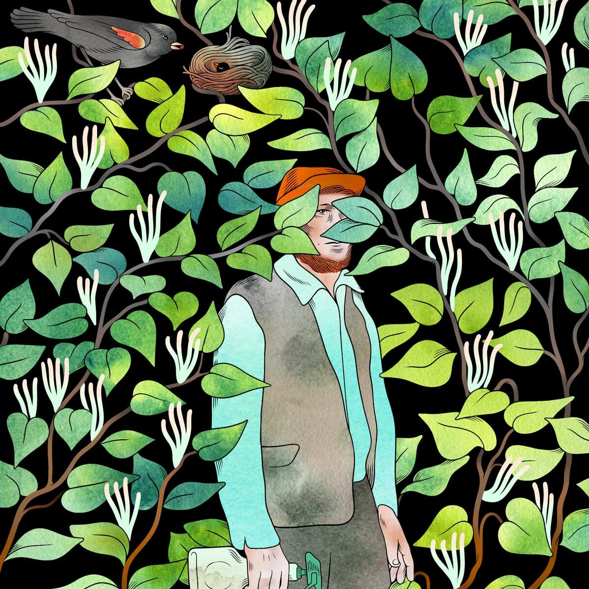 On the trail of one of the most despised and criminalized plants: Japanese knotweed for The Baffler