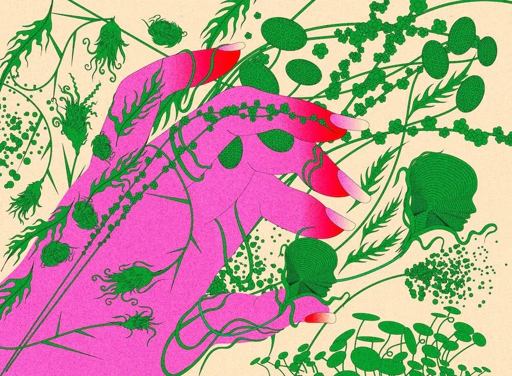 Hating gardening, loving weeds, staring at burgeoning seedbeds on my desk and thinking of sex and Whitman: Weeds, a Letter of Recommendation for the New York Times Magazine