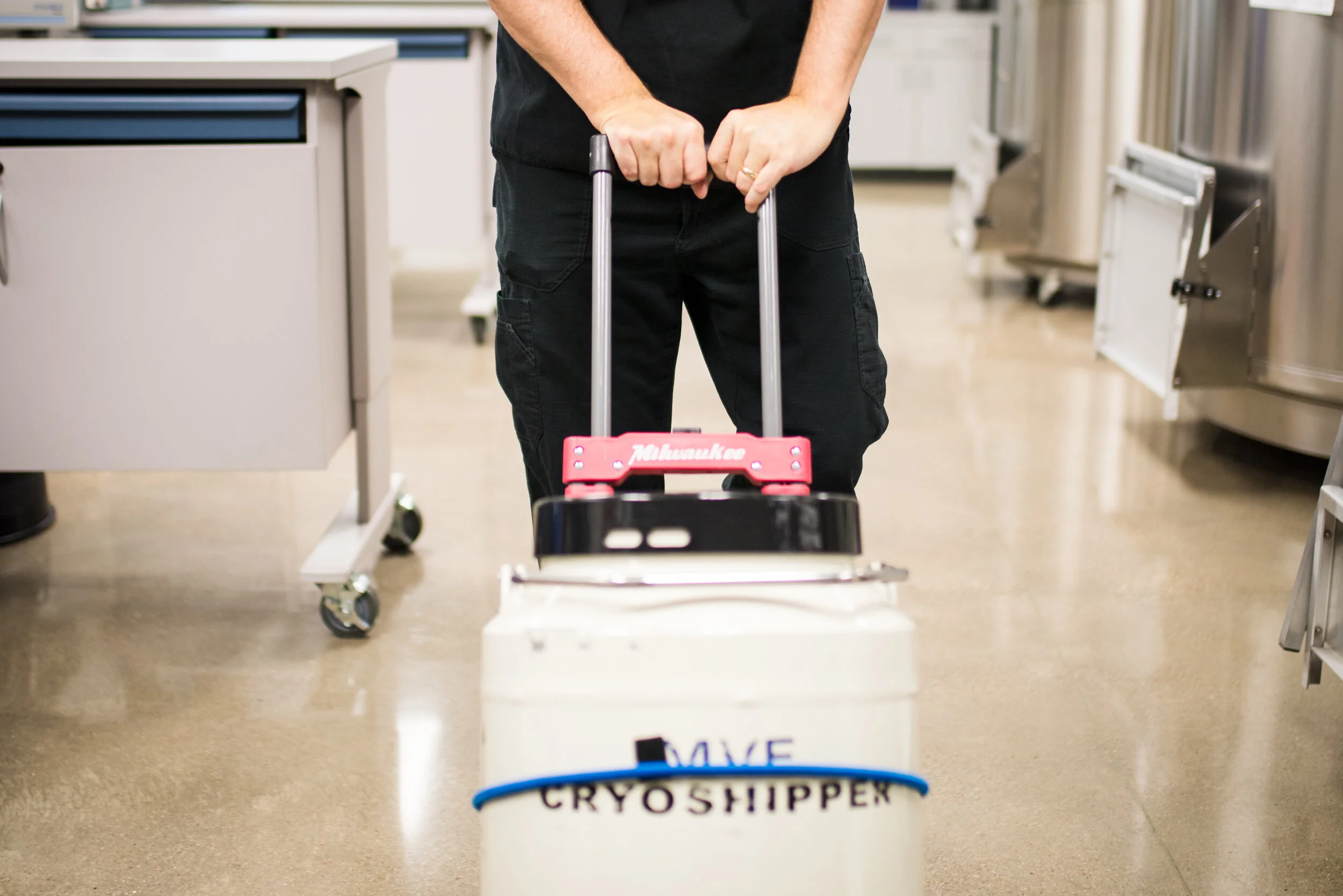 CAR-T: An Emerging Cellular Therapy