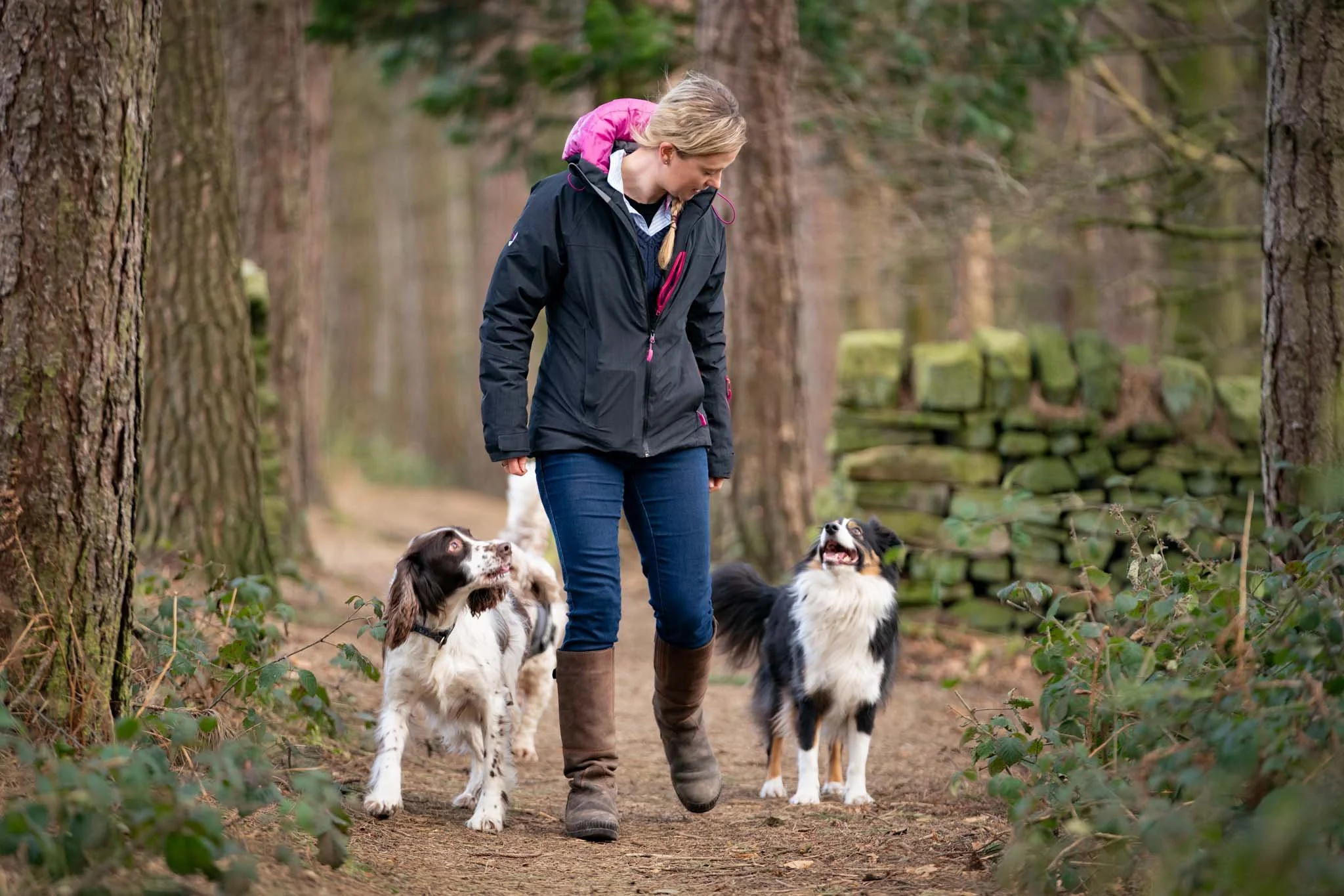 Centre of Animal Behaviour Animal Behaviourist