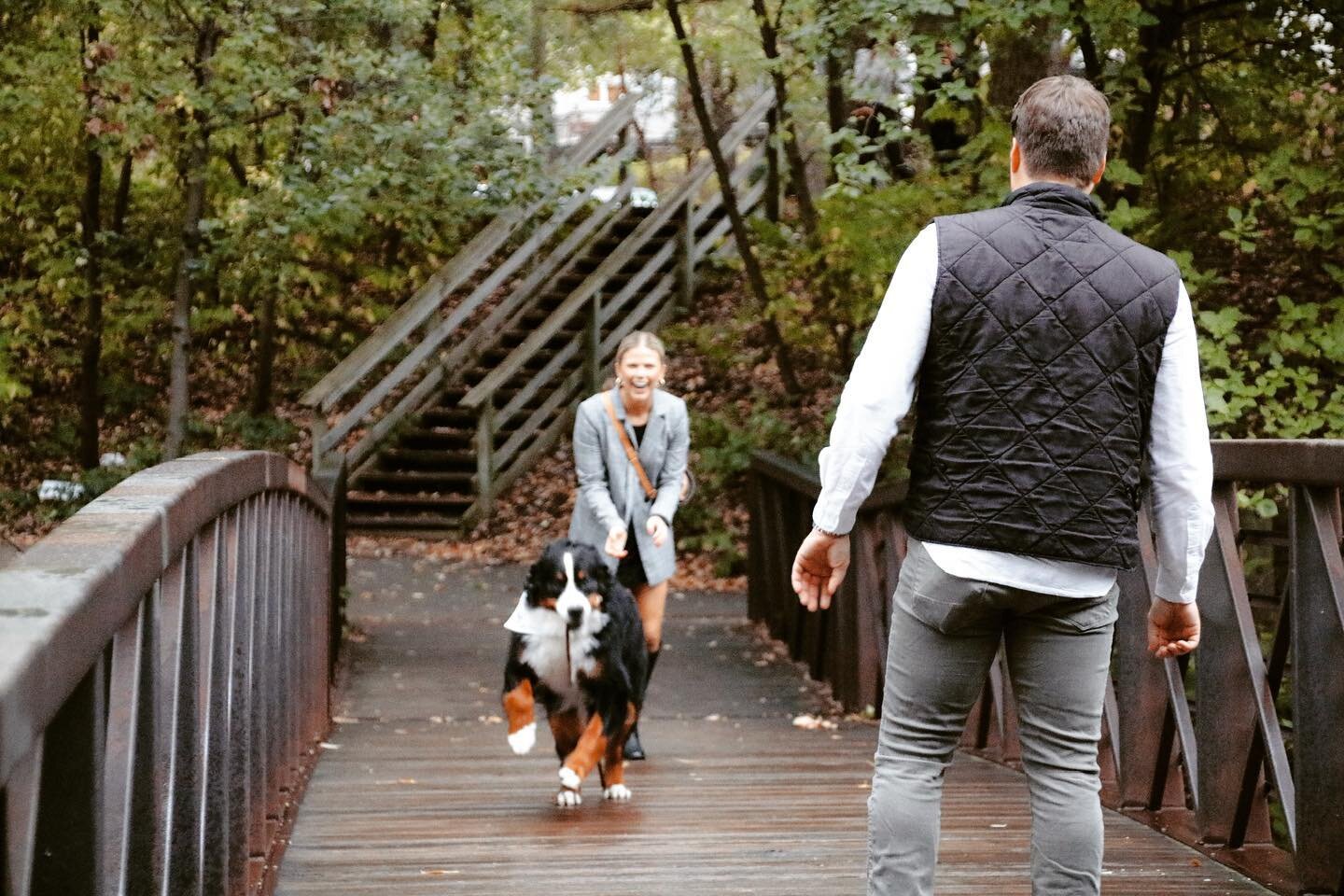 🐶 Pups make everything sweeter! Such an amazing proposal. Congratulations to this stunning couple! 🤍💍