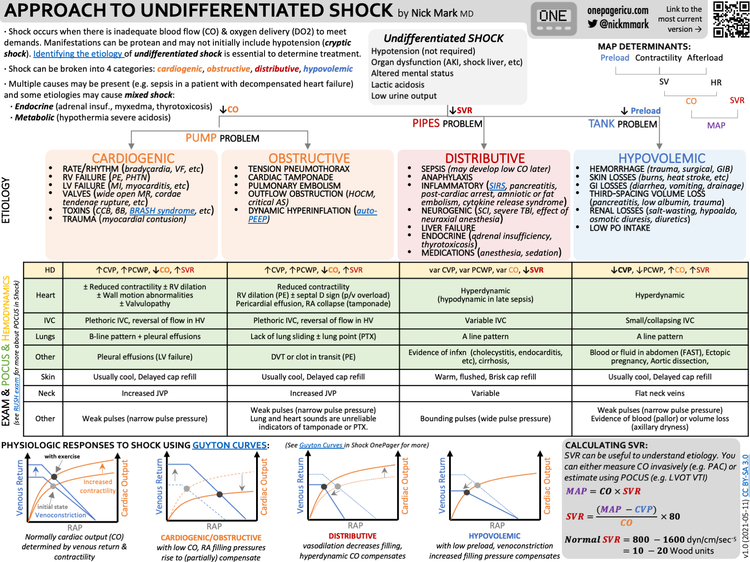 Unit Root Shock Undifferentiated Shock — ICU One Pager