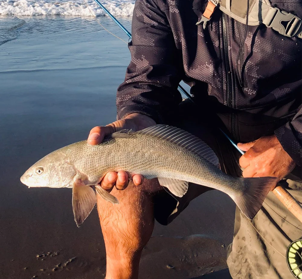 Cloud-Fly-Fishing-Corbina.jpg