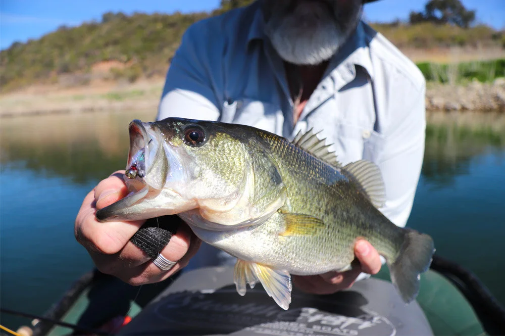 Cloud-Fly-Fishing-Lake-Cachuma-Bass-3.jpg