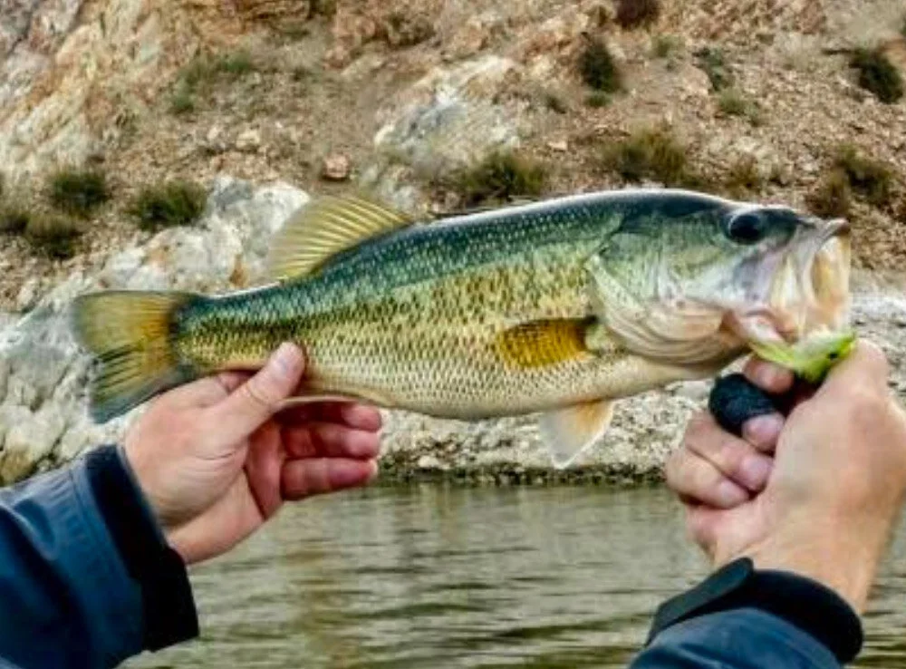 Cloud-Fly-Fishing-Lake-Cachuma-Bass.jpg