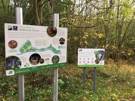 SU5: Widbrook Wood Wander