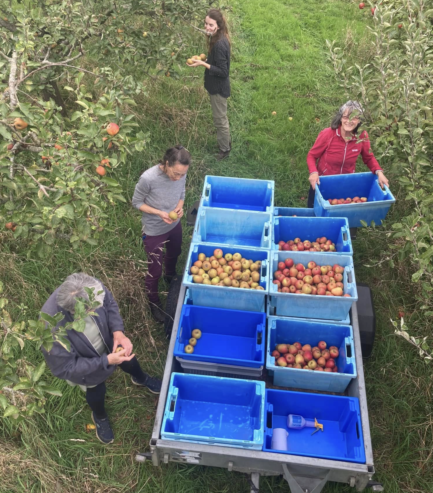 SA4: Country walk with tour of Avonleigh Organics