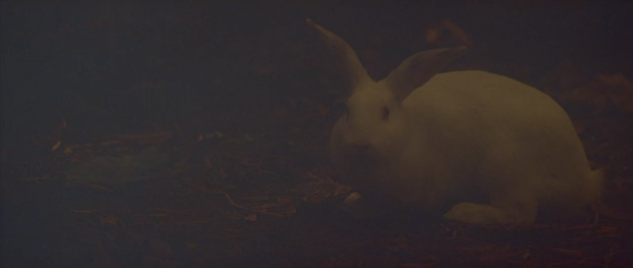 Screen Shot 2020-03-15 at 8.23.32 PM.png