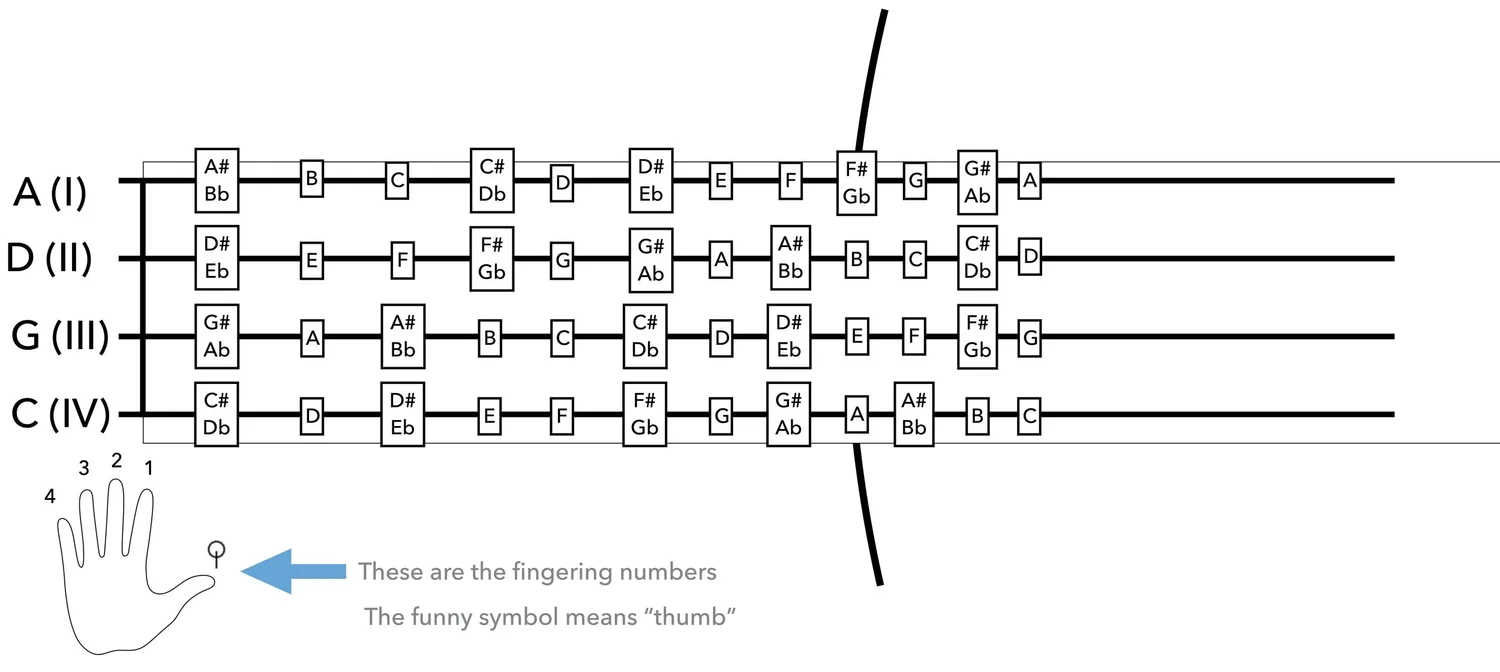 The Geography of the Cello Fingerboard — Mathew Arrellín, Composer