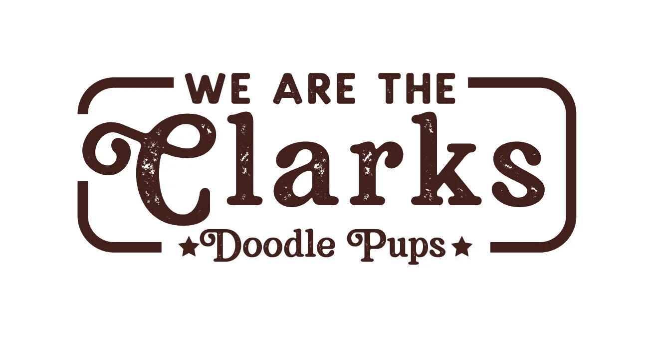 clarks doodles 2019