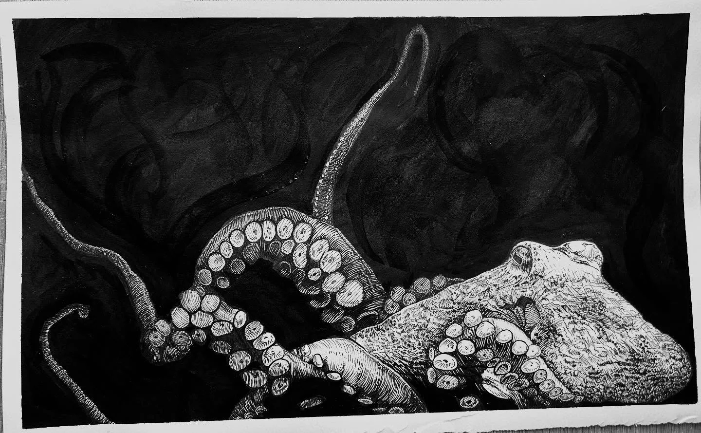 &ldquo;Lady of the Dark III&rdquo;  One can almost hear her beautiful tentacles moving effortlessly through the darkness&hellip;2024 pen and ink on paper. 14&rdquo; x 18&rdquo;