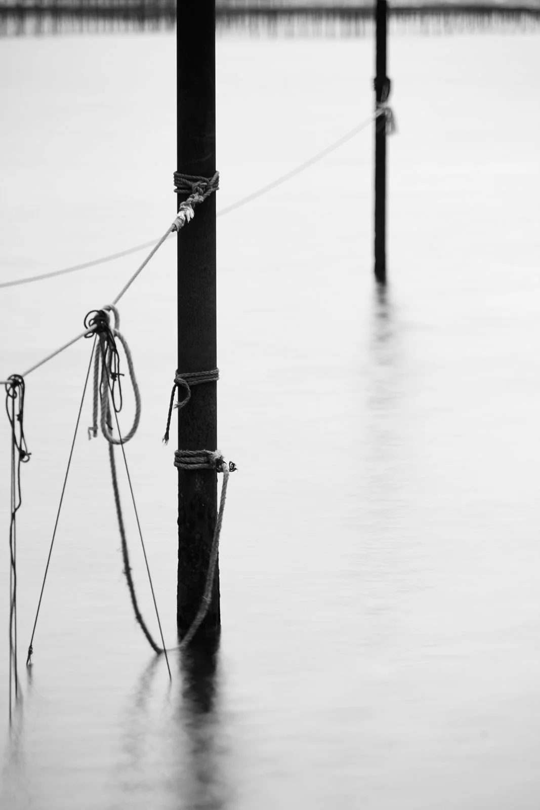 Oyster Farm, Languedoc-Roussillon, France, Seascapes