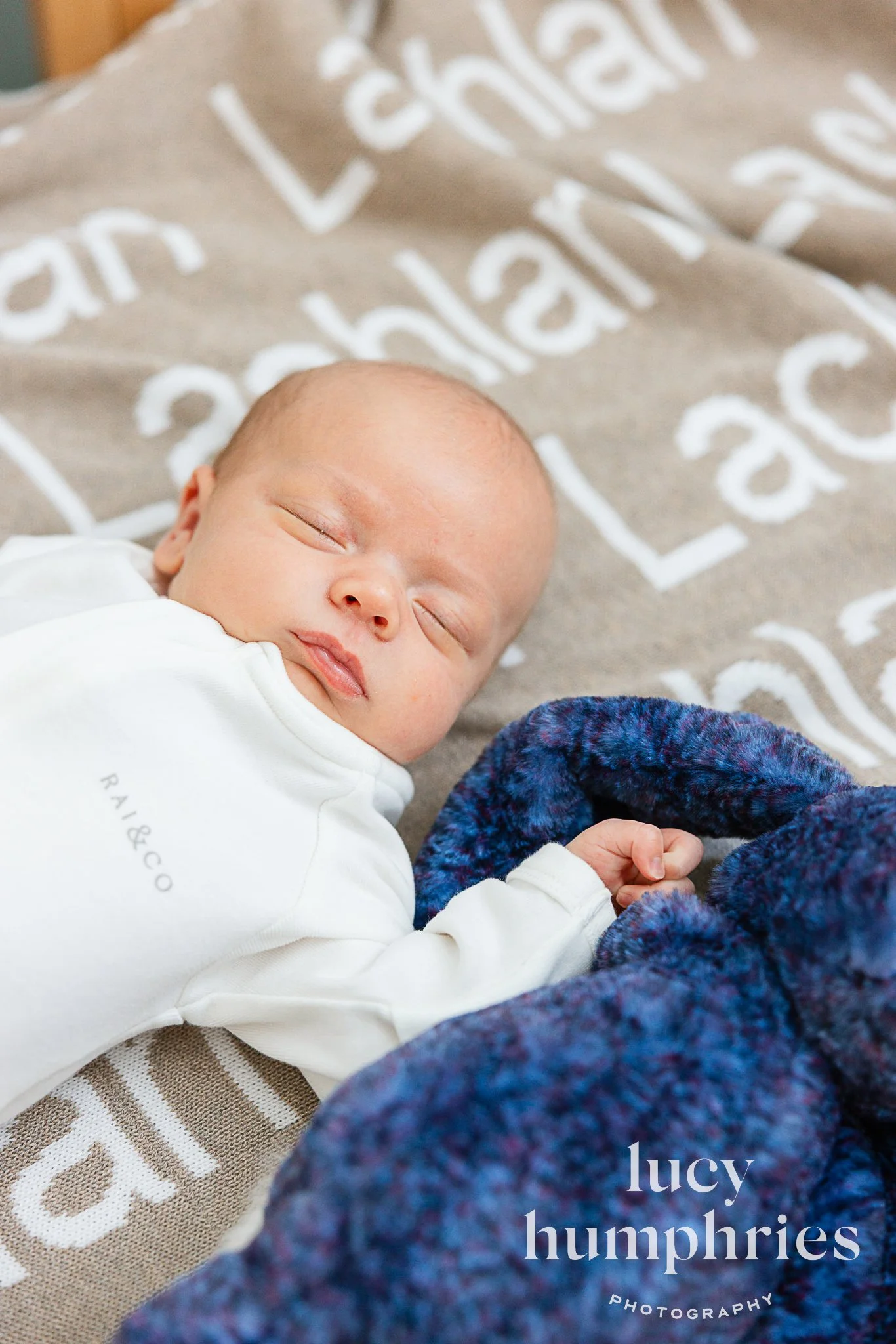 LHP-BABY-SMALL-1.jpg