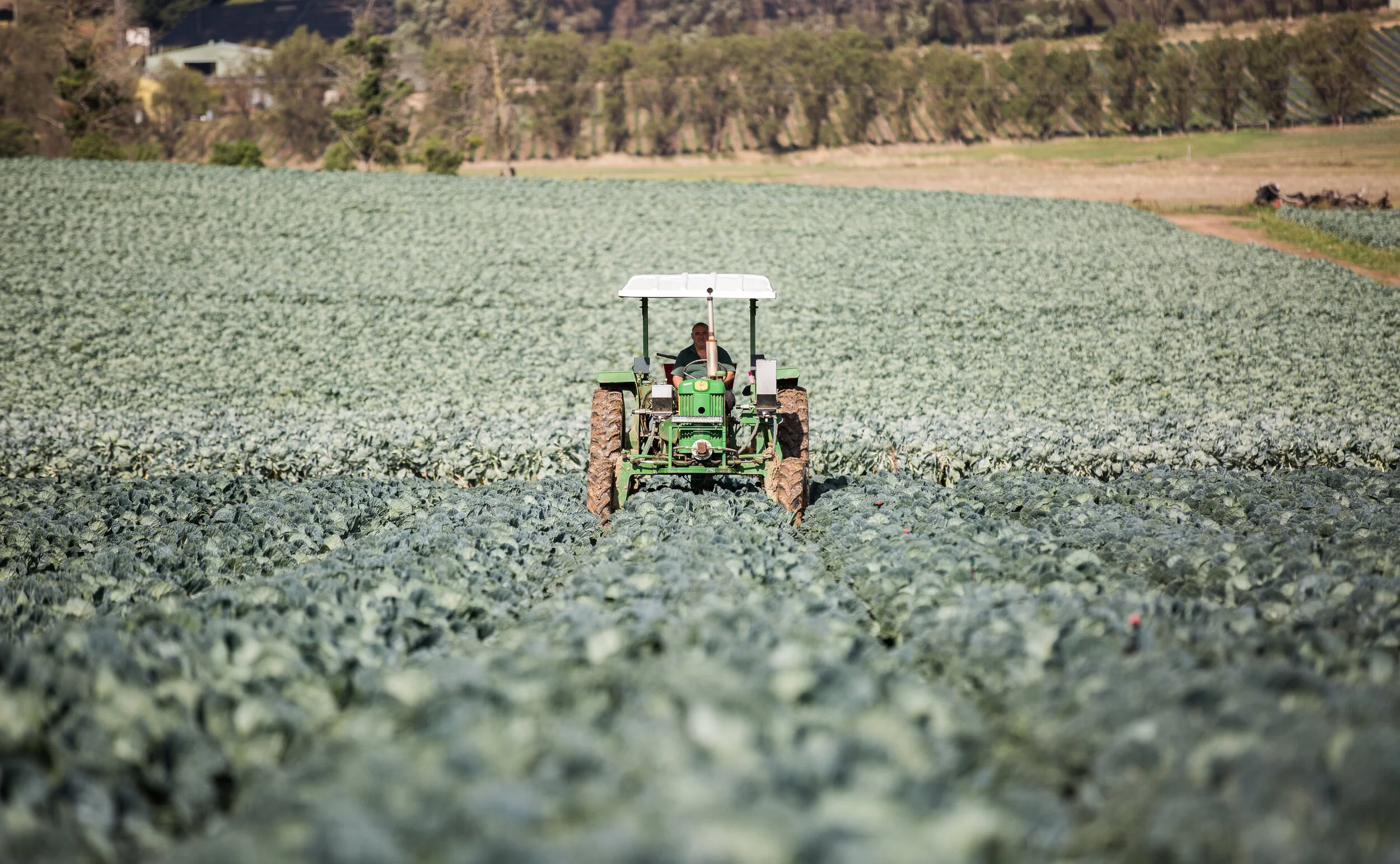 Adams Farm-17.jpg