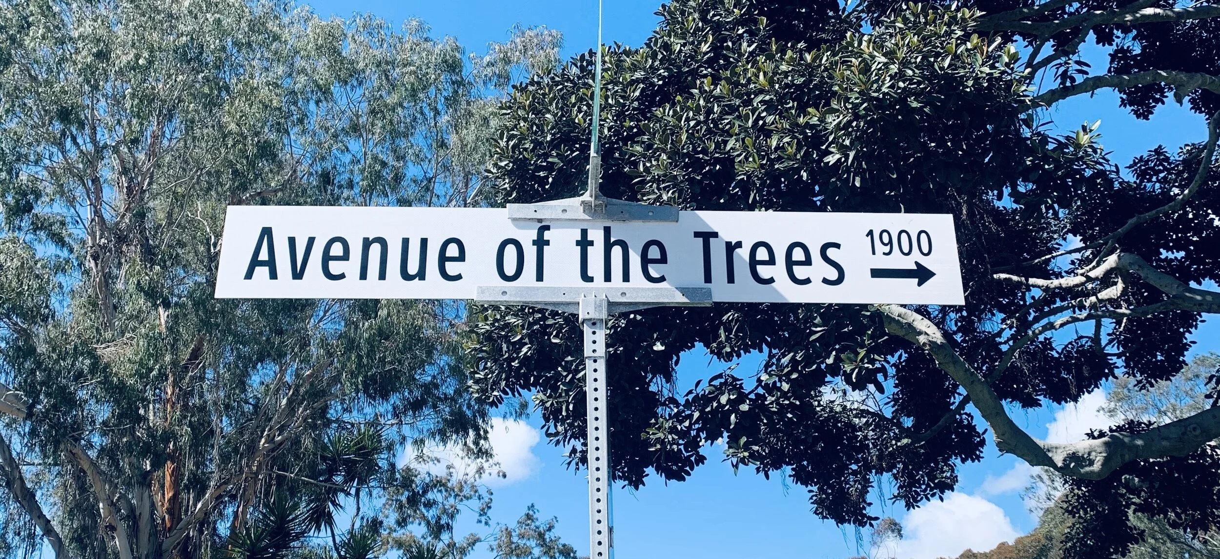 Trees...