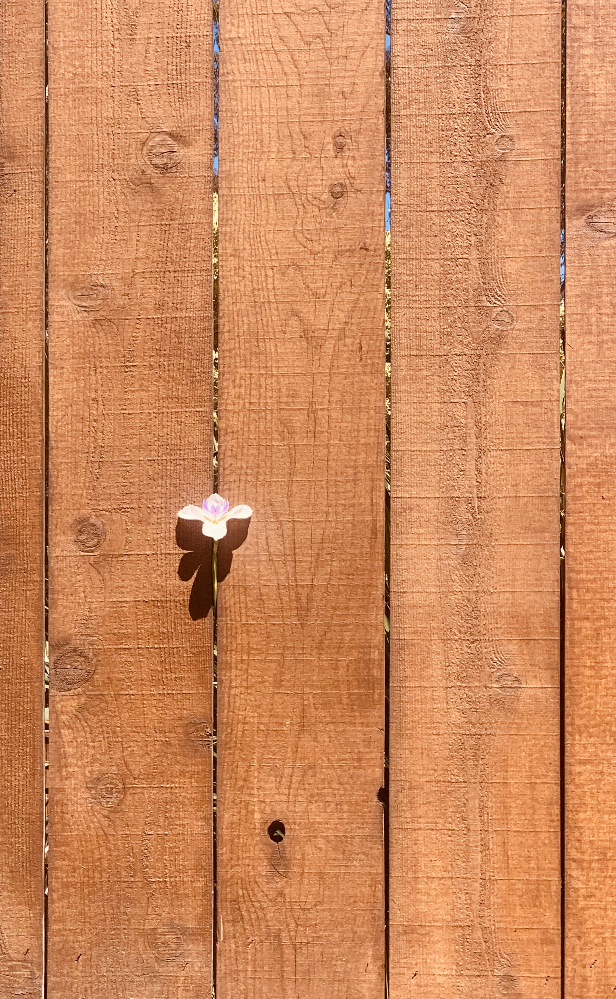 A tiny glimpse of new life.