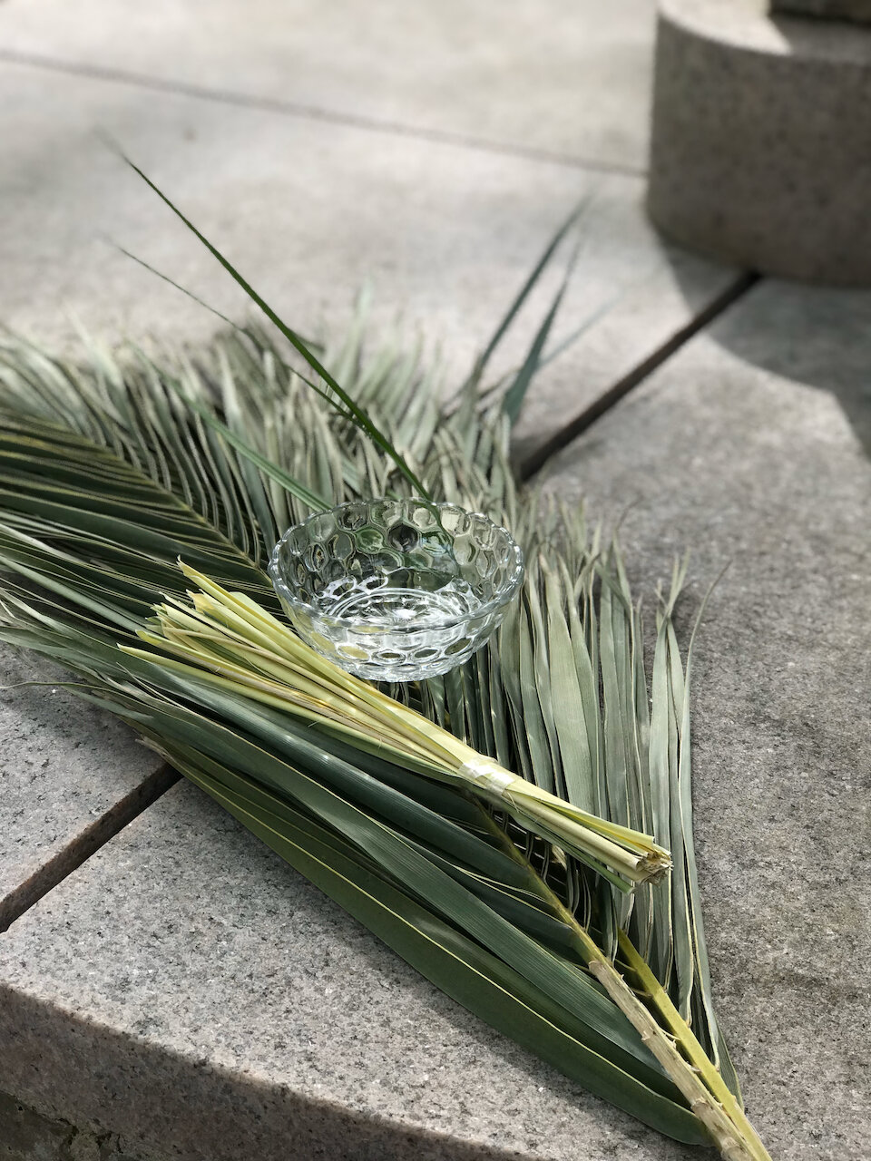 Palm Sunday