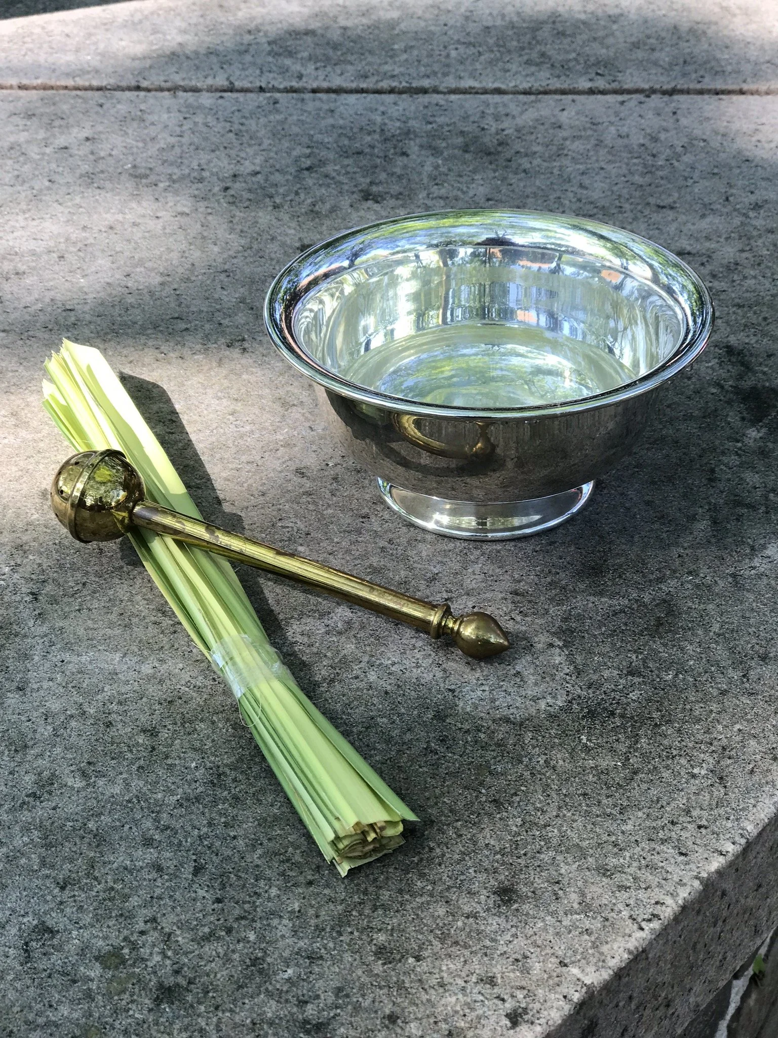 PASSION / PALM SUNDAY