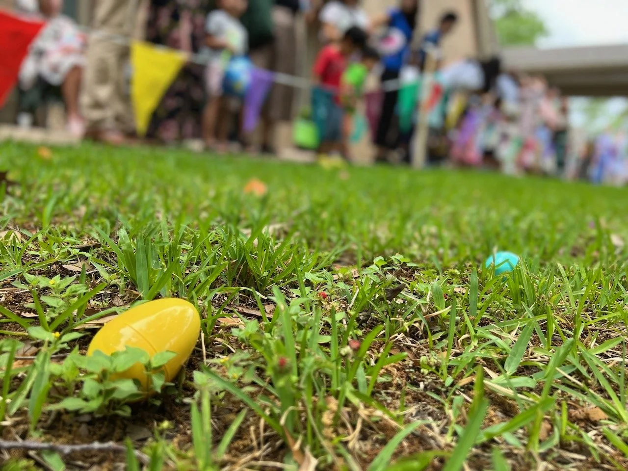 Easter Egg Hunt