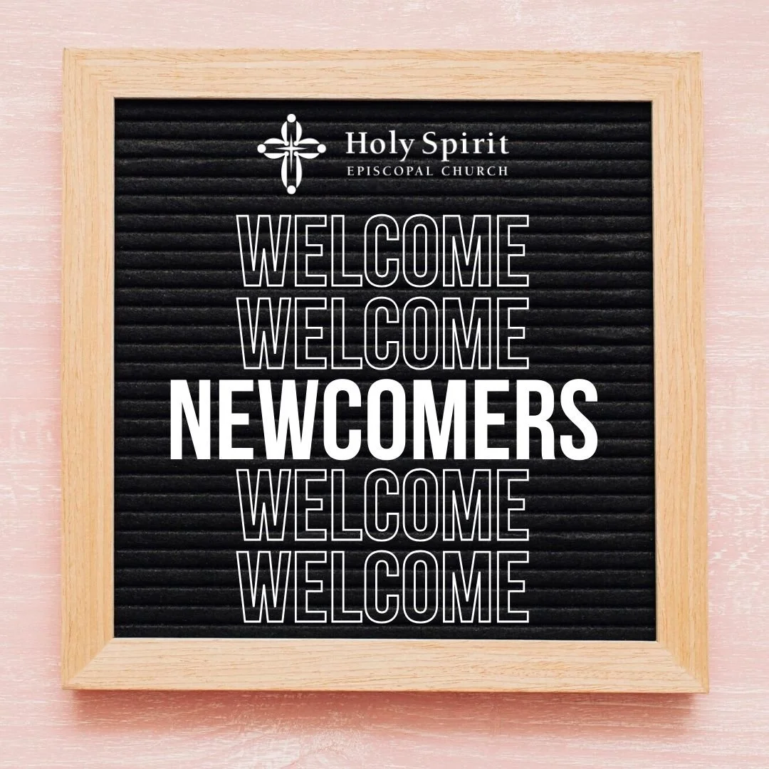 Newcomers - New Connections