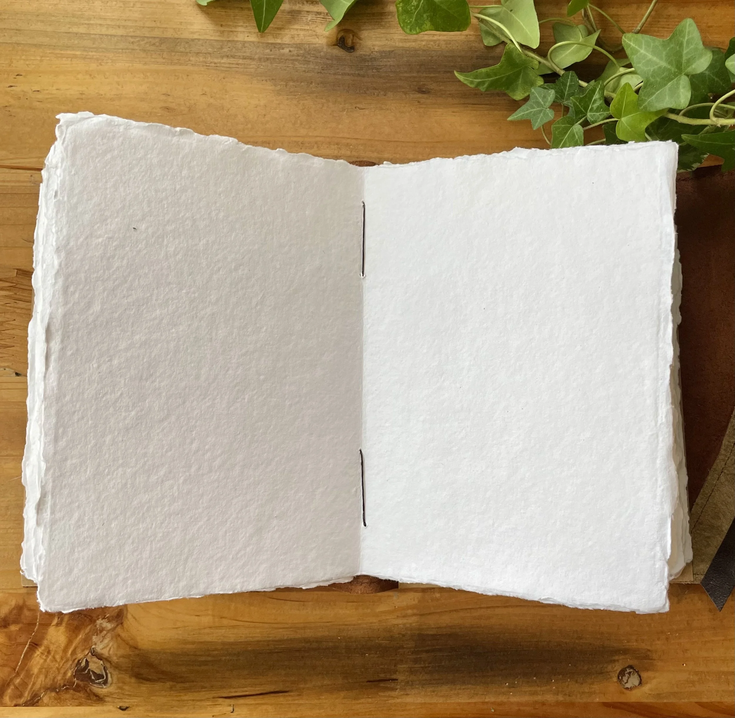 IMG_5935.jpeg (Copy) (Copy) (Copy) (Copy)