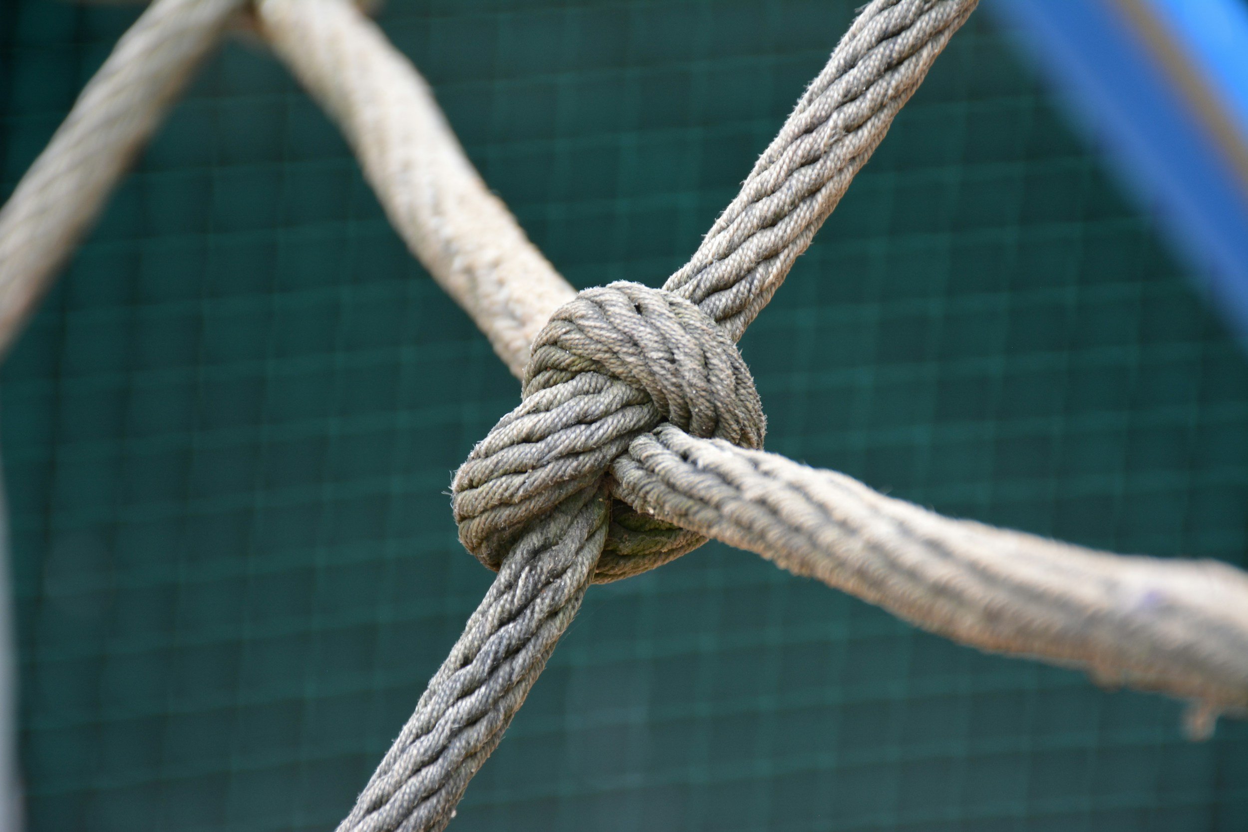 Grace for Unity | Grace to & Through