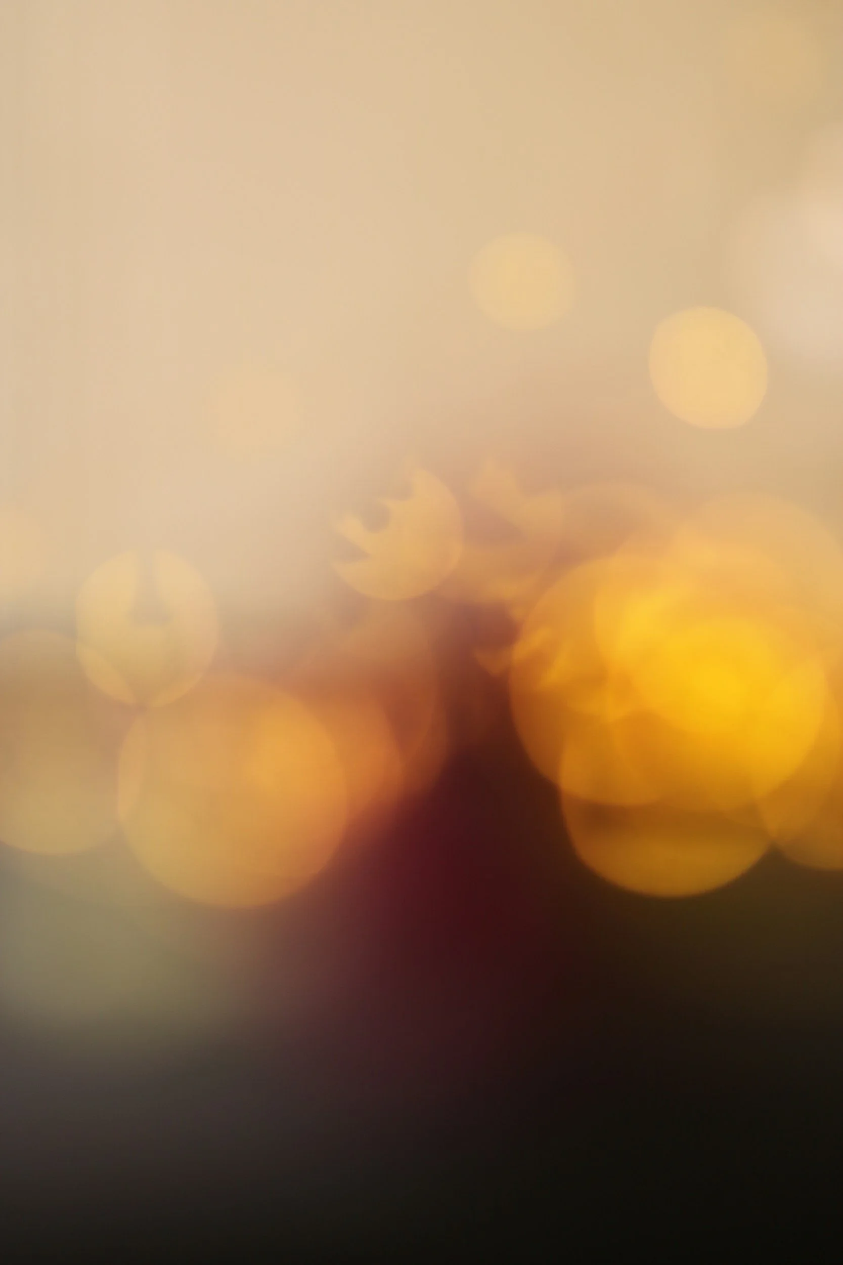 This Little Light Of Mine | Hidden in Plain Sight